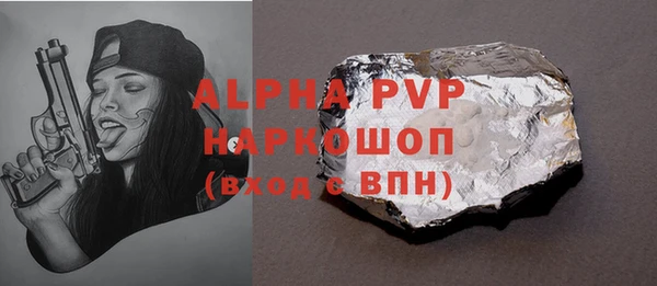гидра Надым