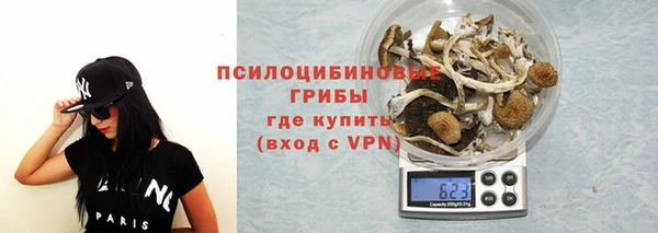 скорость Алексин