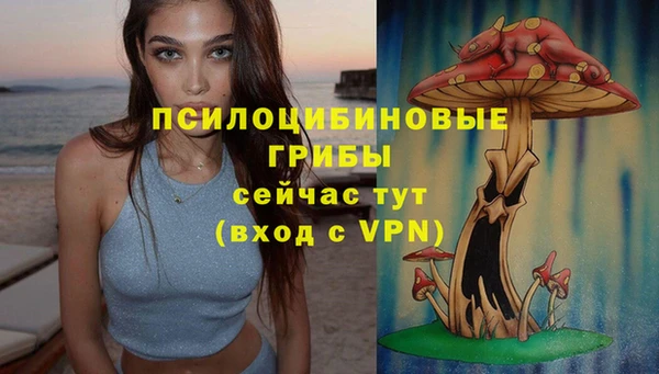 скорость Алексин
