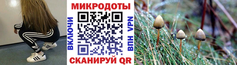 Псилоцибиновые грибы мицелий дарк нет как зайти Южно-Сахалинск закладки